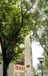 Blk 240 Lorong 1 Toa Payoh (Toa Payoh), HDB Executive #525910201